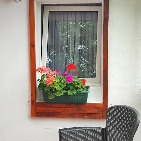 Apartment Smokva Belgrad Dış mekan fotoğraf
